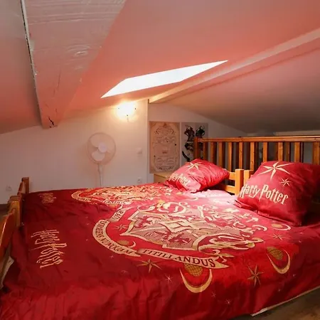 Harry Potter - Le Logis Du Petit Sorcier - Clim Appartement Carcassonne