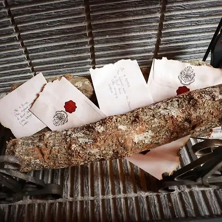 公寓 Harry Potter - Le Logis Du Petit Sorcier - Clim 卡尔卡松