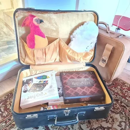 Appartement Harry Potter - Le Logis Du Petit Sorcier - Clim